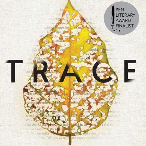 Trace by Lauret Savoy